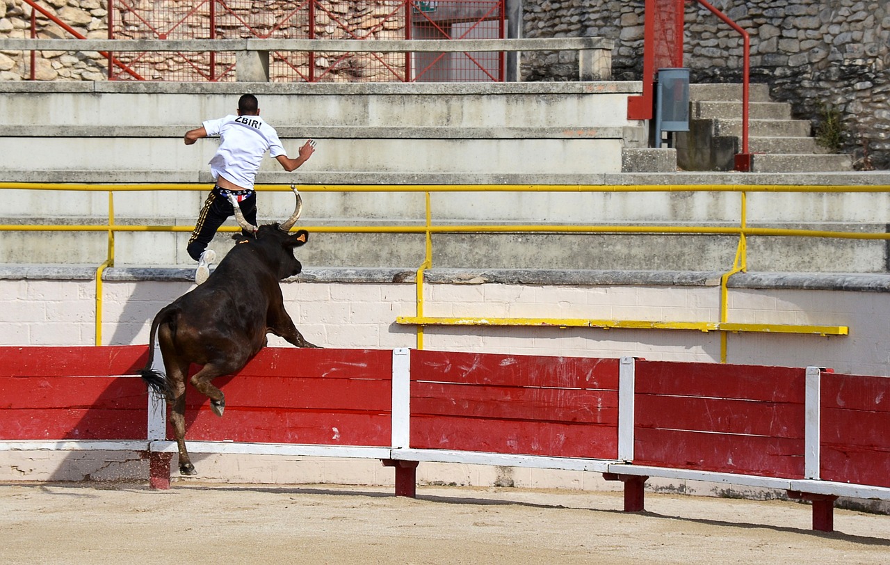 某些时刻遭