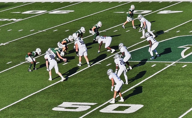 费权益的体 费权益的体