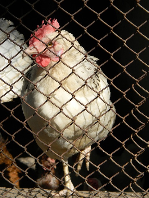 他的短距离 他的短距离