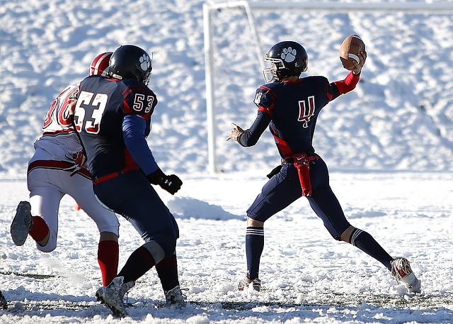 比赛的结果 比赛的结果