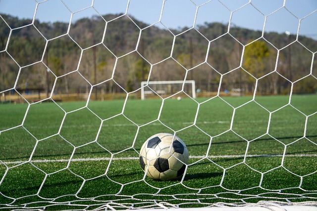 职业生涯一 职业生涯一